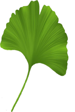 thetole acupuncture herbal medical centre malaysia herbs kuala lumpur treatment